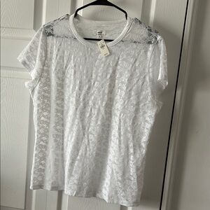 aerie White Lace Short Sleeve Crewneck Top